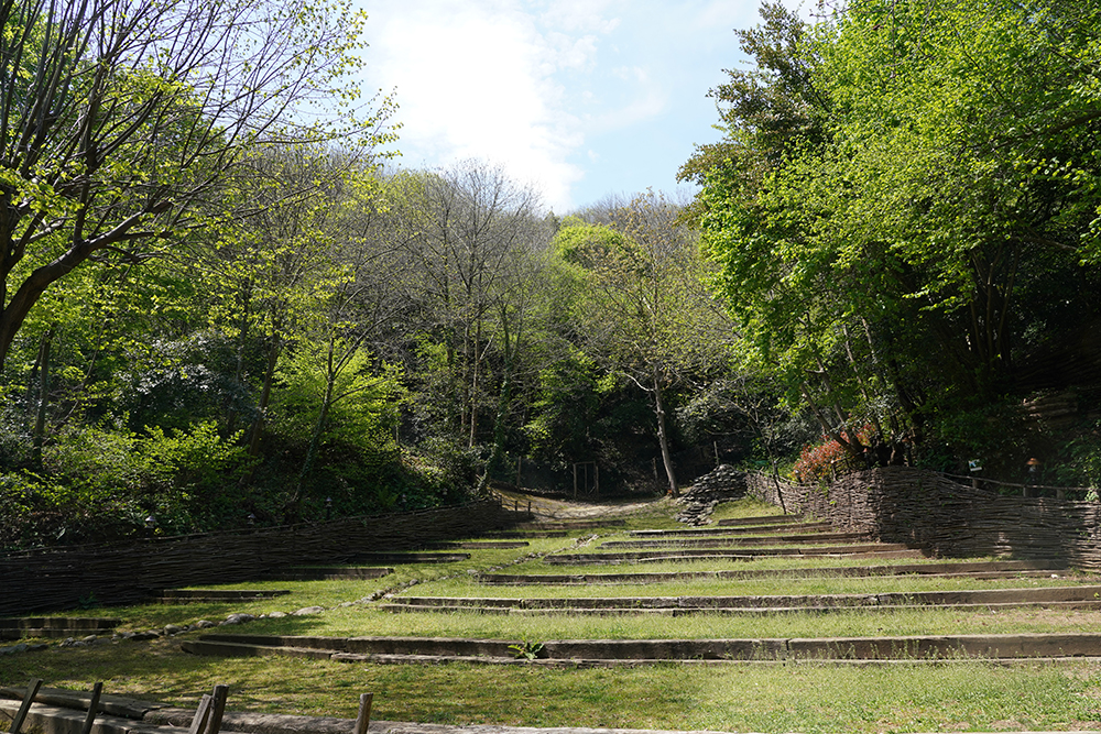 Beykoz Doğa - Kamp Alanı