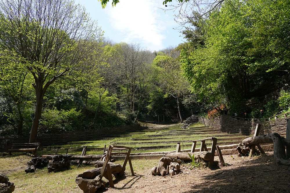 Beykoz Doğa - Kamp Alanı