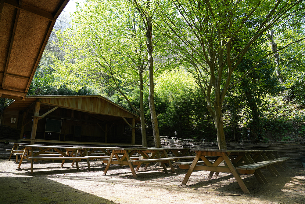 Beykoz Doğa - Kamp Alanı