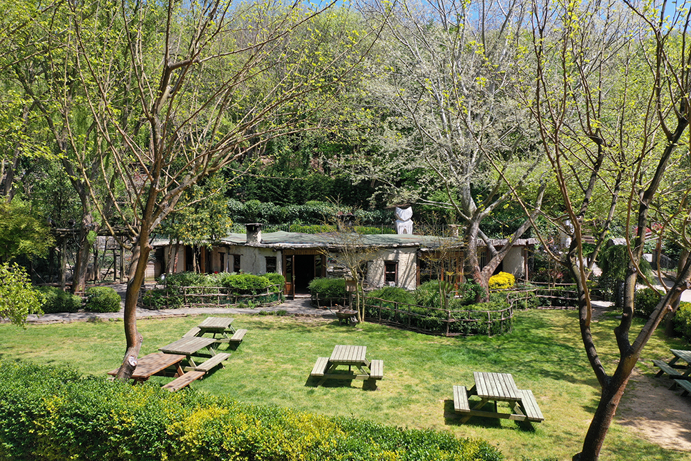 Beykoz Doğa - Kümbet