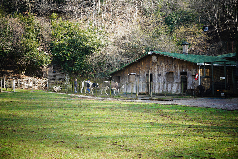 Beykoz Doğa - Üst Çim Alan