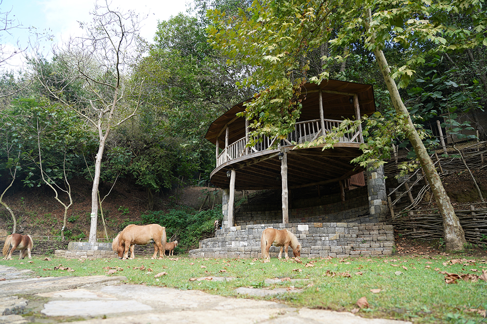Beykoz Doğa - Vietnam Çadırı