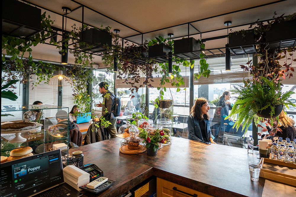 Kale Tasarım ve Sanat Merkezi - Roots Studio Teras