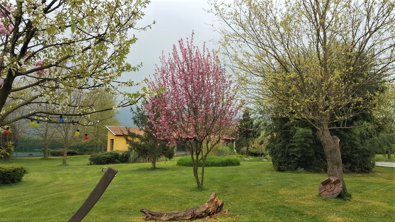 Villa Belle